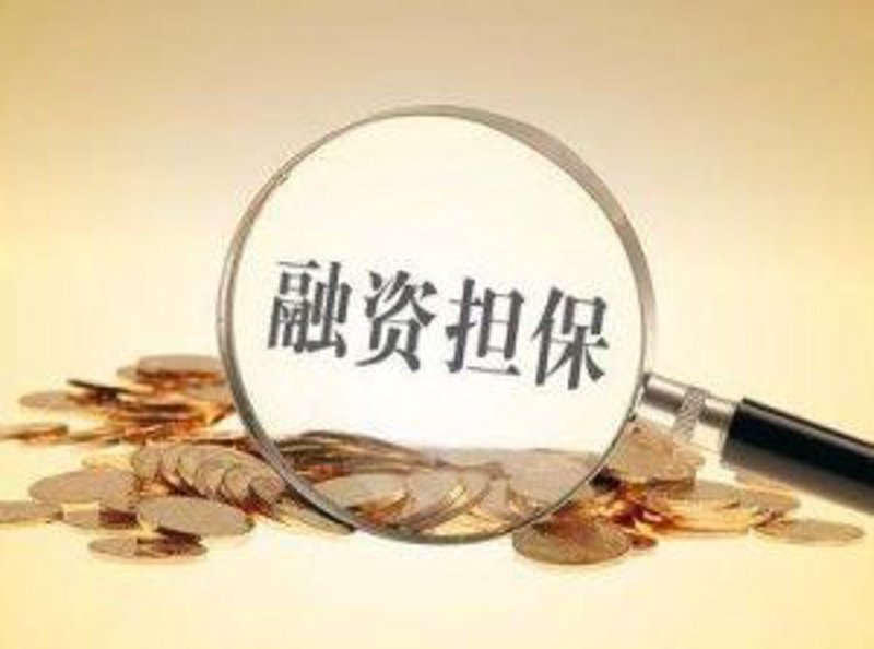 信用担保市场风云变幻：重庆地区的发展趋势